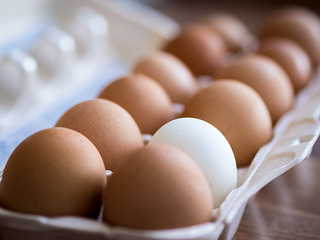 Depiction of USP: White egg among brown eggs
