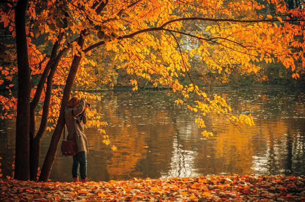 Autumn Tree beside Lake